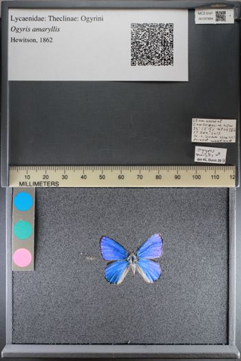 Media type: image;   Entomology 197894